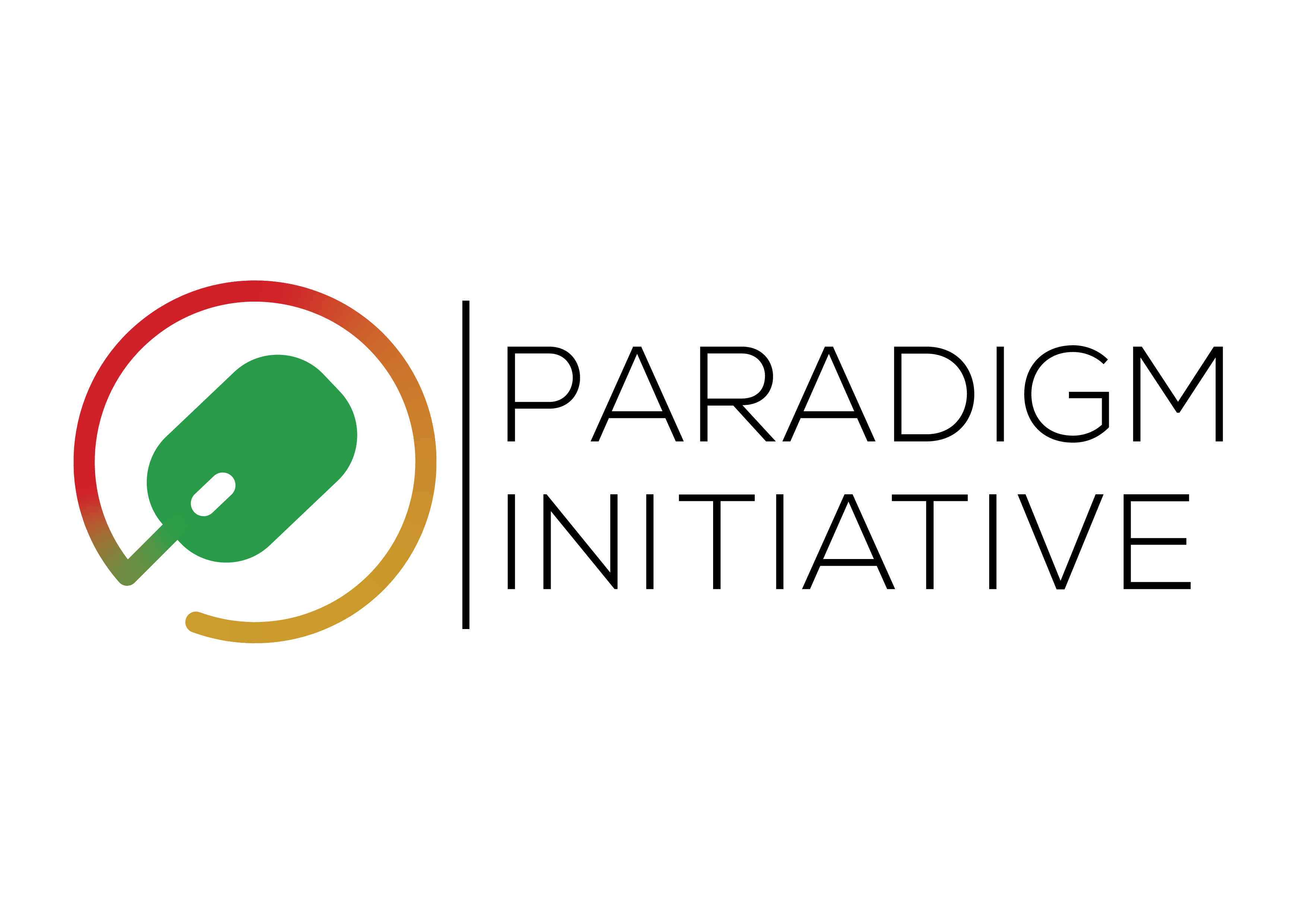 logo Paradigm Initiative