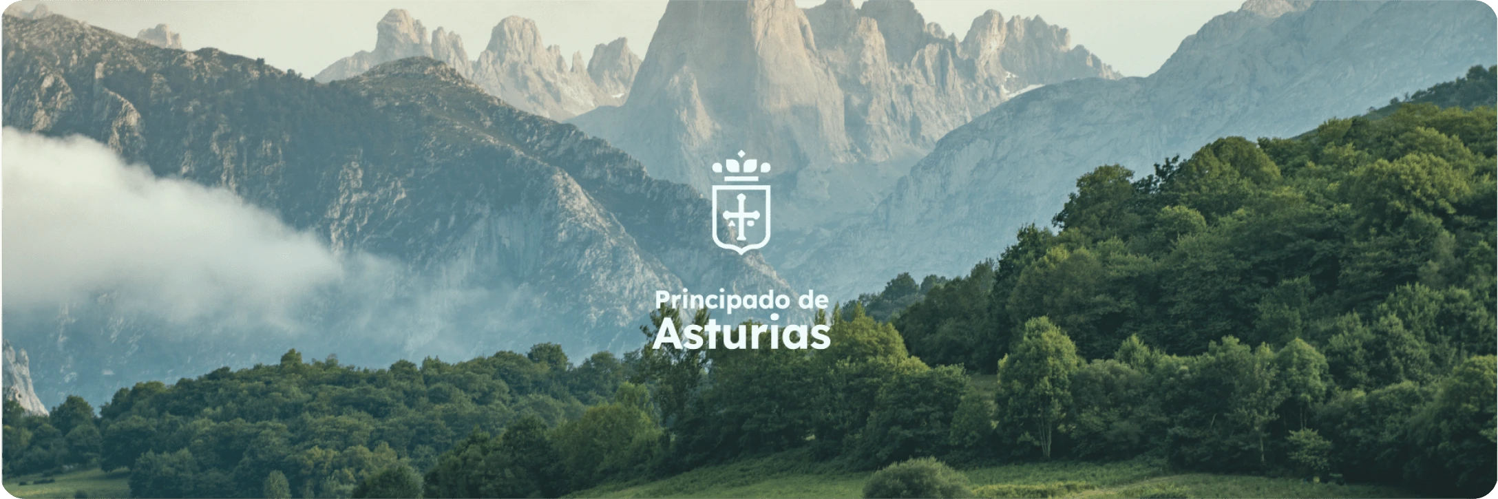 Imagen proyecto - Nueva imagen digital para el Principado de Asturias